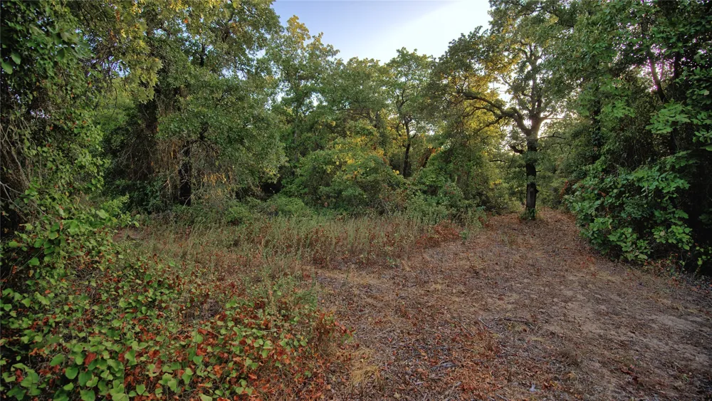 Ten Point Road Nocona, TX 76255
