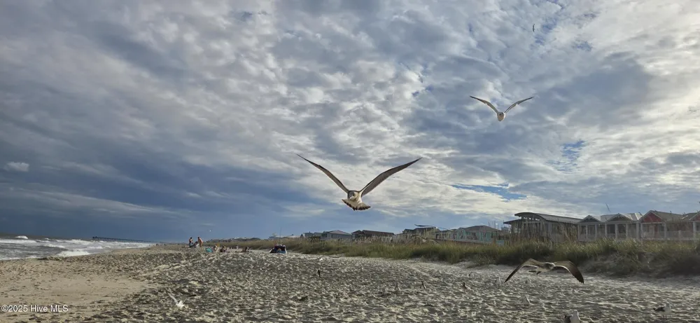 106 Ocean View Avenue #A Kure Beach, NC 28449