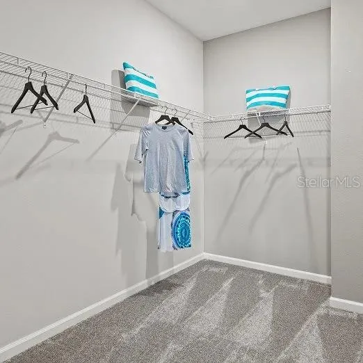 1801 RIDER RAIN LANE Apopka, FL 32703