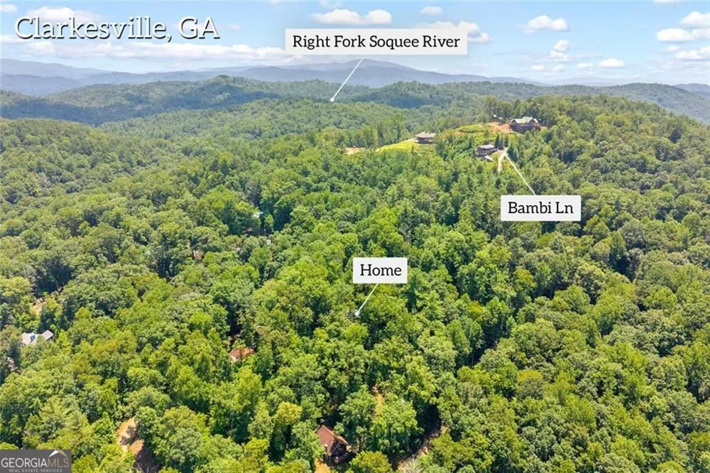 185 Pope Dickson LN Clarkesville, GA 30523