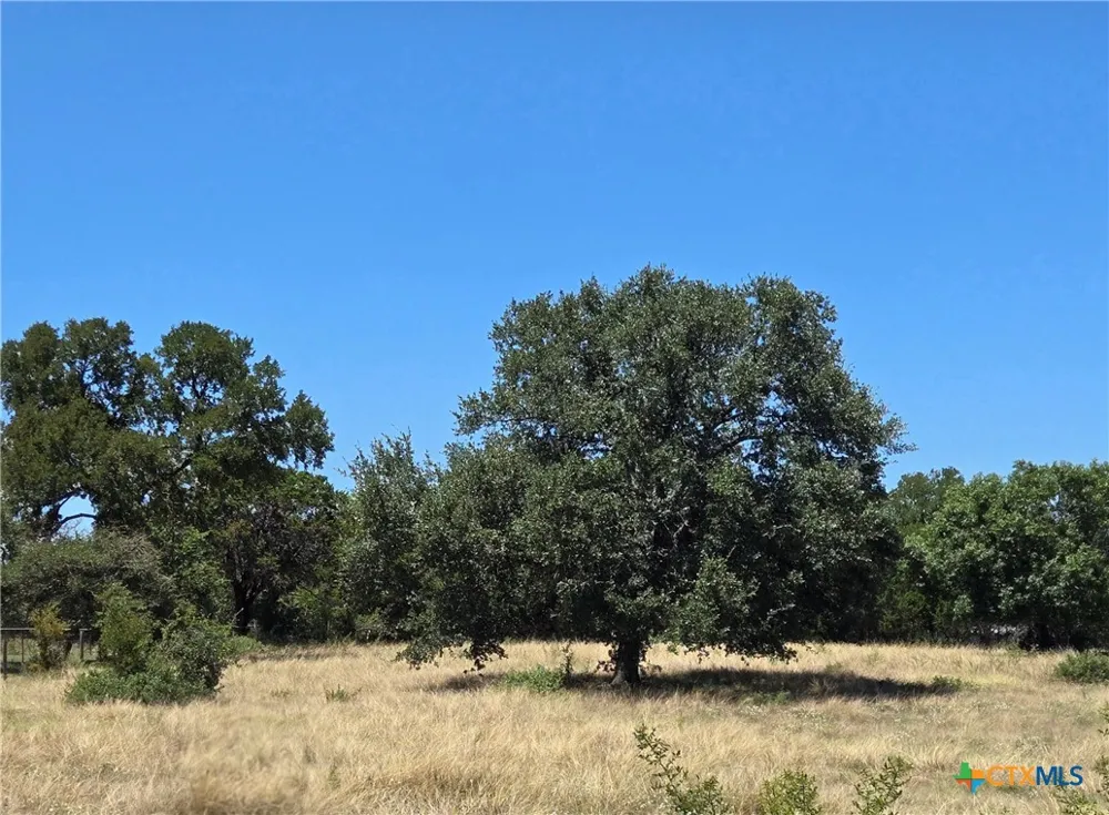 1 CR 4765 Kempner, TX 76539