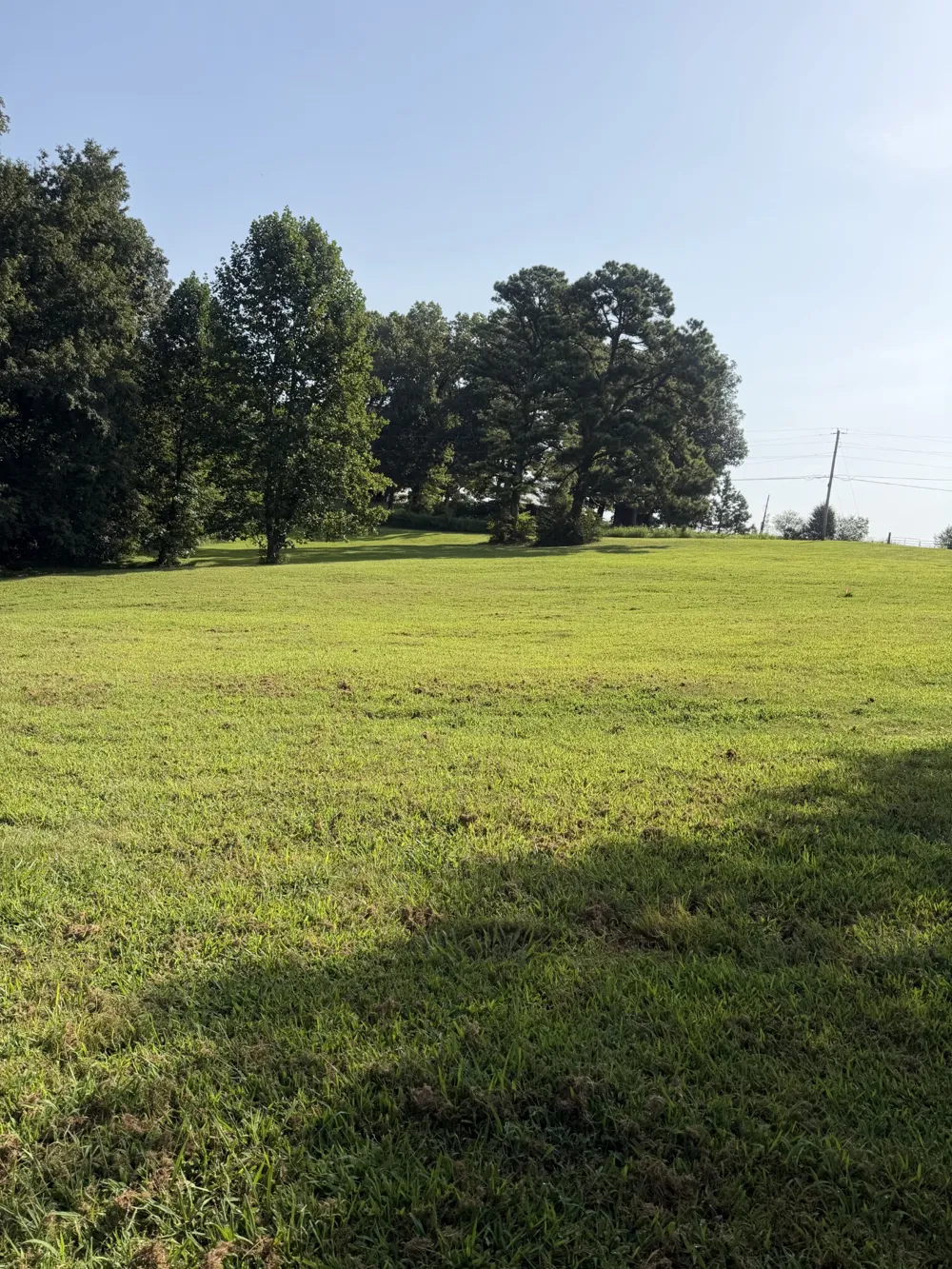 0 Buddy Rd Burns, TN 37029