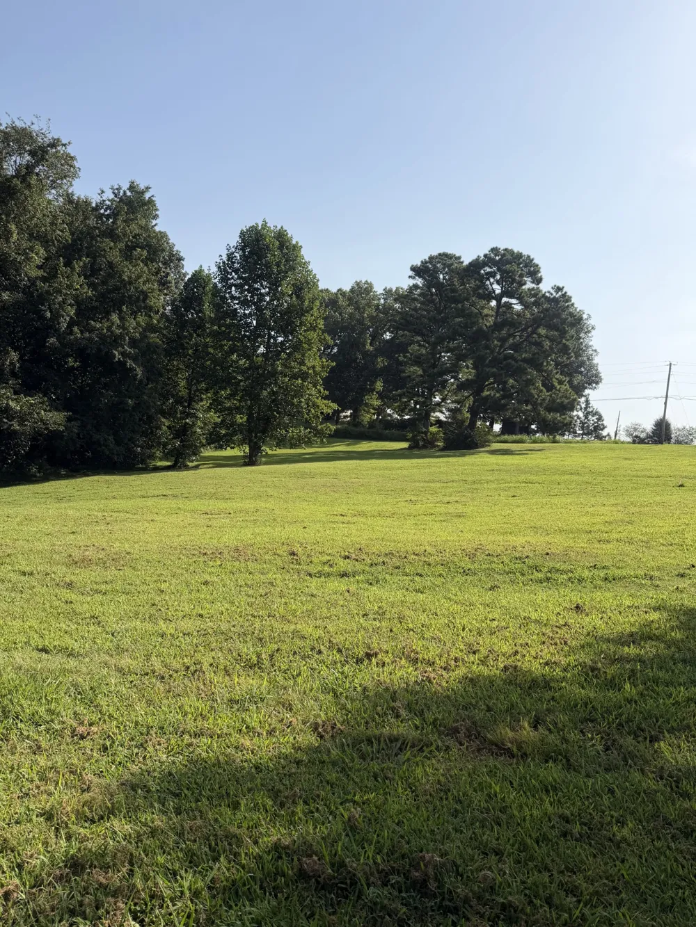 0 Buddy Rd Burns, TN 37029
