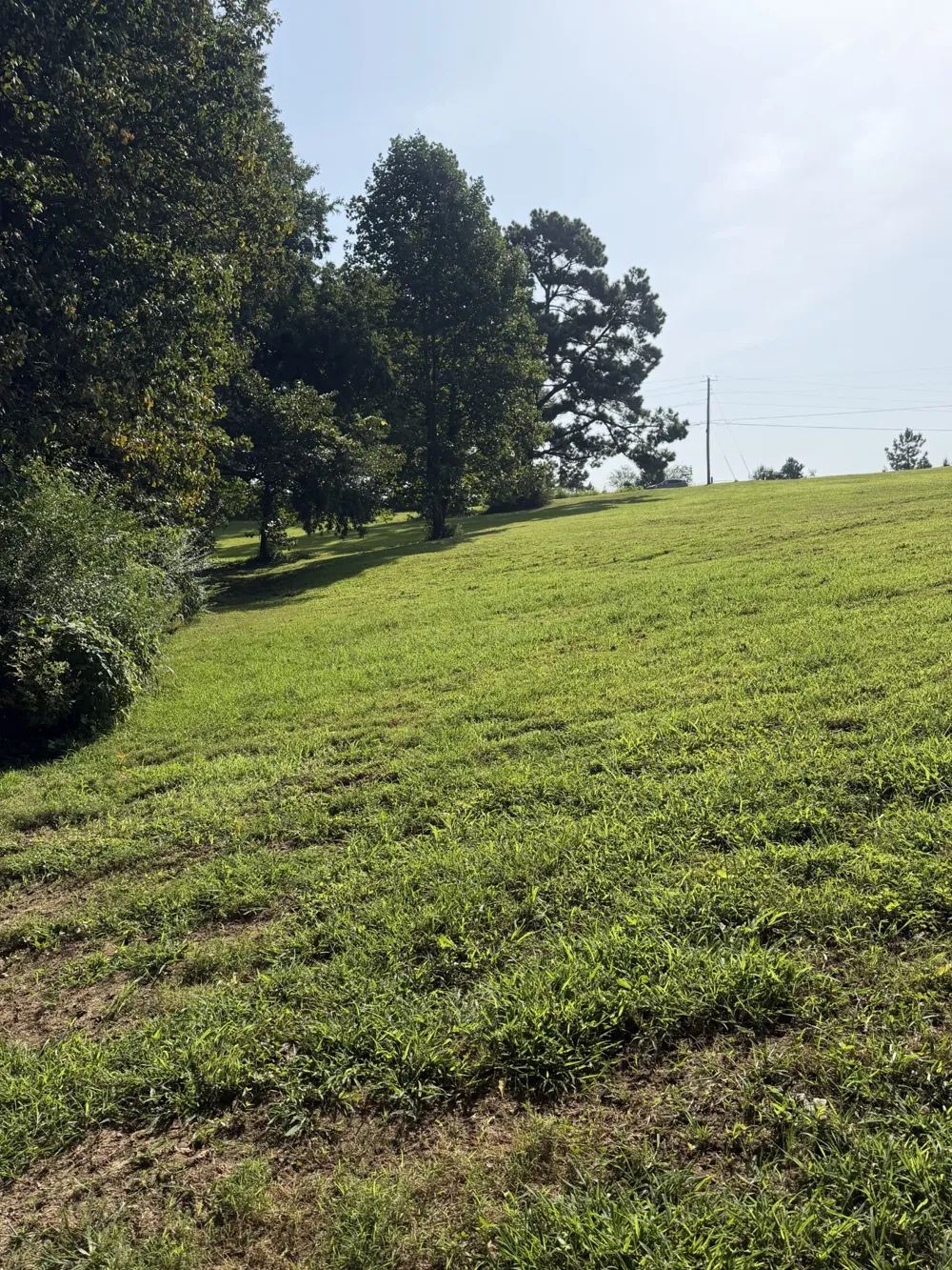 0 Buddy Rd Burns, TN 37029