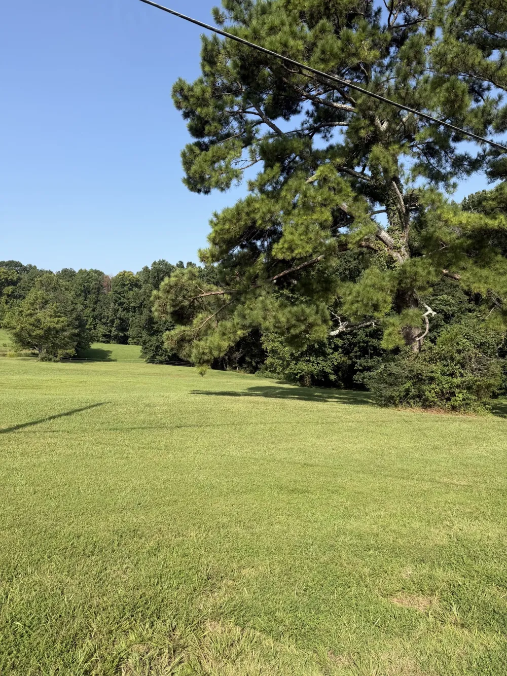 0 Buddy Rd Burns, TN 37029