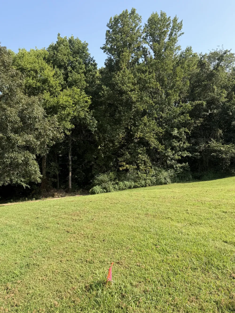0 Buddy Rd Burns, TN 37029