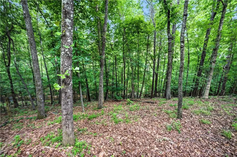 5525 Hampstead Way Johns Creek, GA 30097
