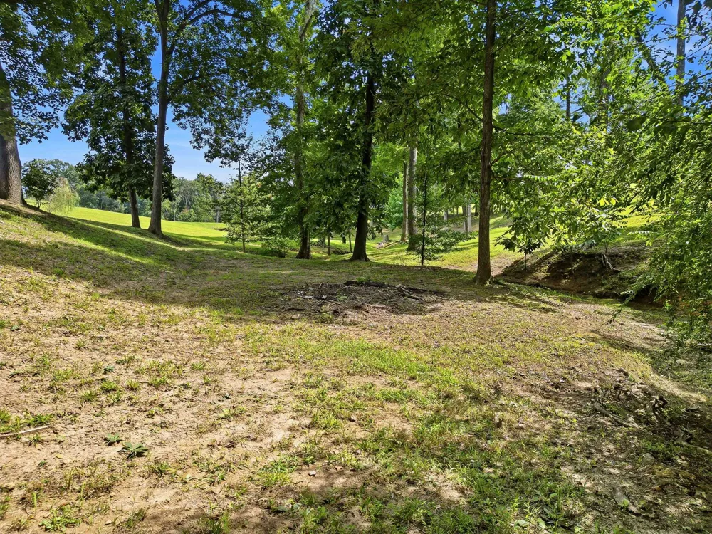 6576 Ed Williams Rd Greenbrier, TN 37073