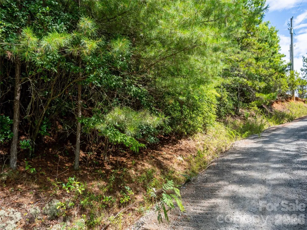 000 Miracle Valley Pisgah Forest, NC 28768