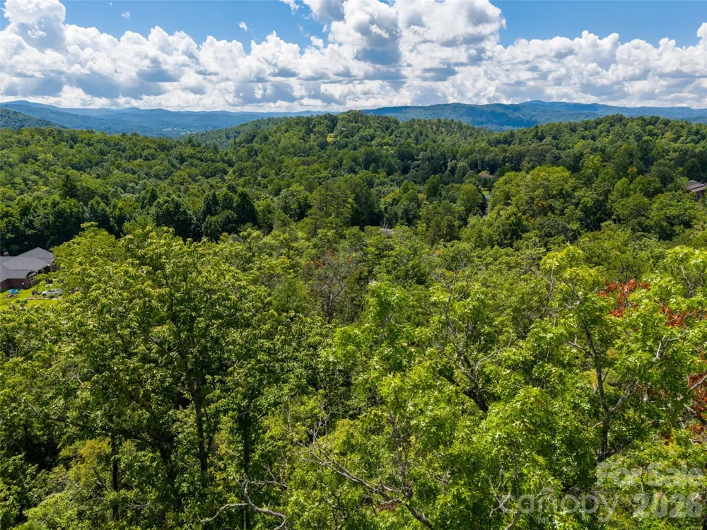 000 Miracle Valley Pisgah Forest, NC 28768