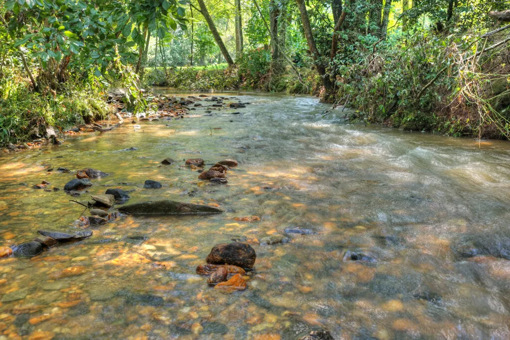 1792 Wolf Creek Road Murphy, NC 28906