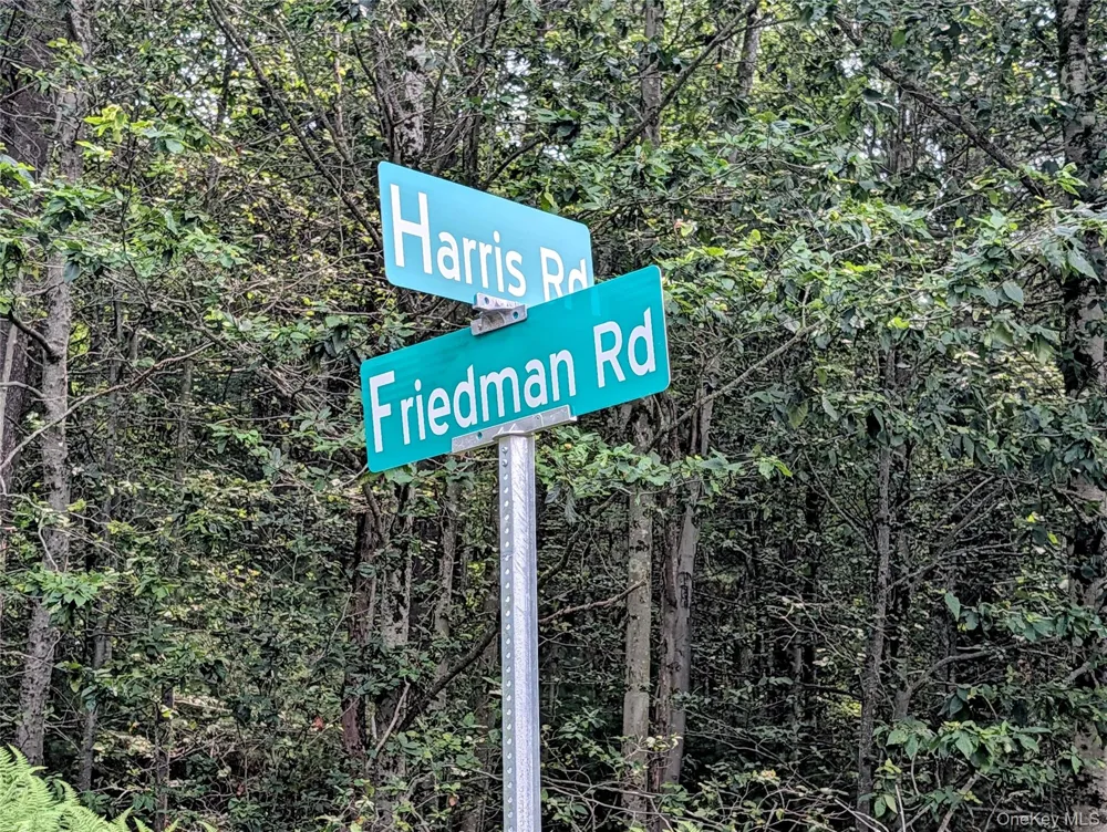 Harris Road Harris, NY 12742