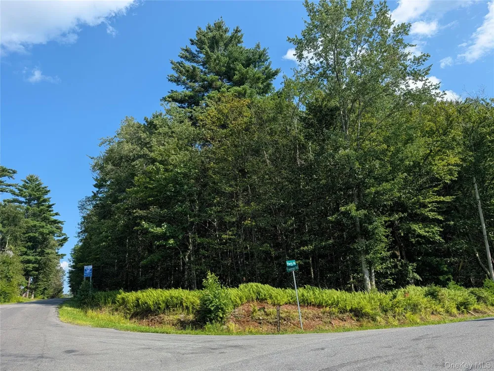 Harris Road Harris, NY 12742