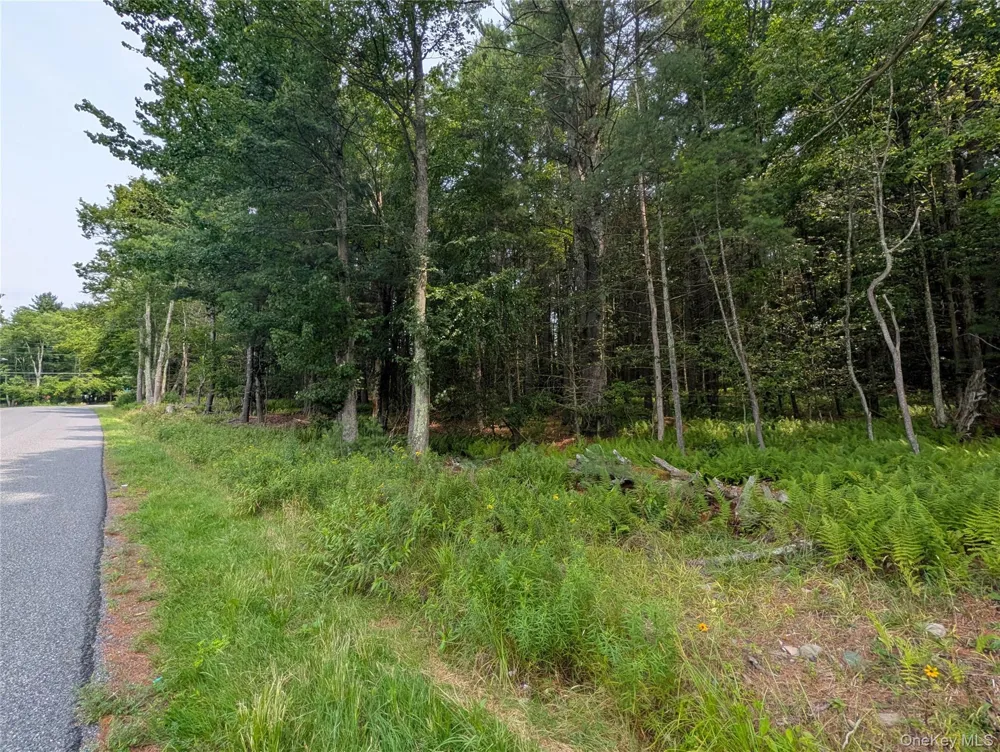 Harris Road Harris, NY 12742