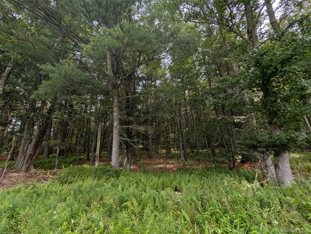 Harris Road Harris, NY 12742