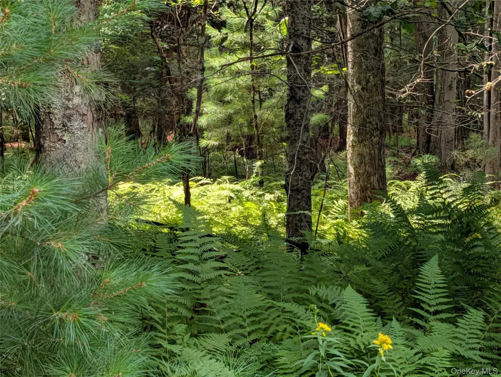 Harris Road Harris, NY 12742