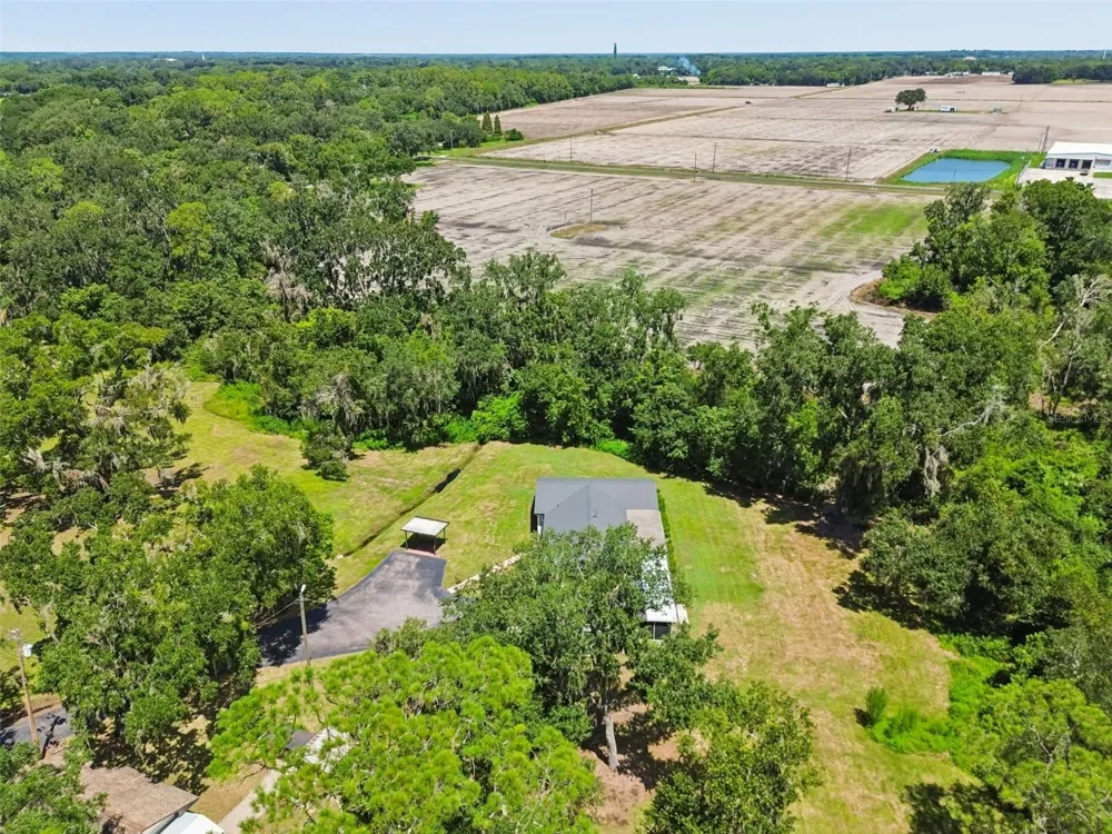 2321 WOOTEN ROAD Dover, FL 33527