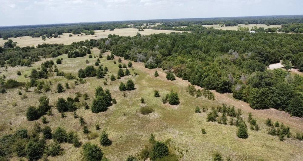 9574 County Road 314 Road Terrell, TX 75161