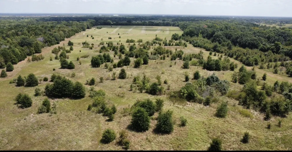 9574 County Road 314 Road Terrell, TX 75161