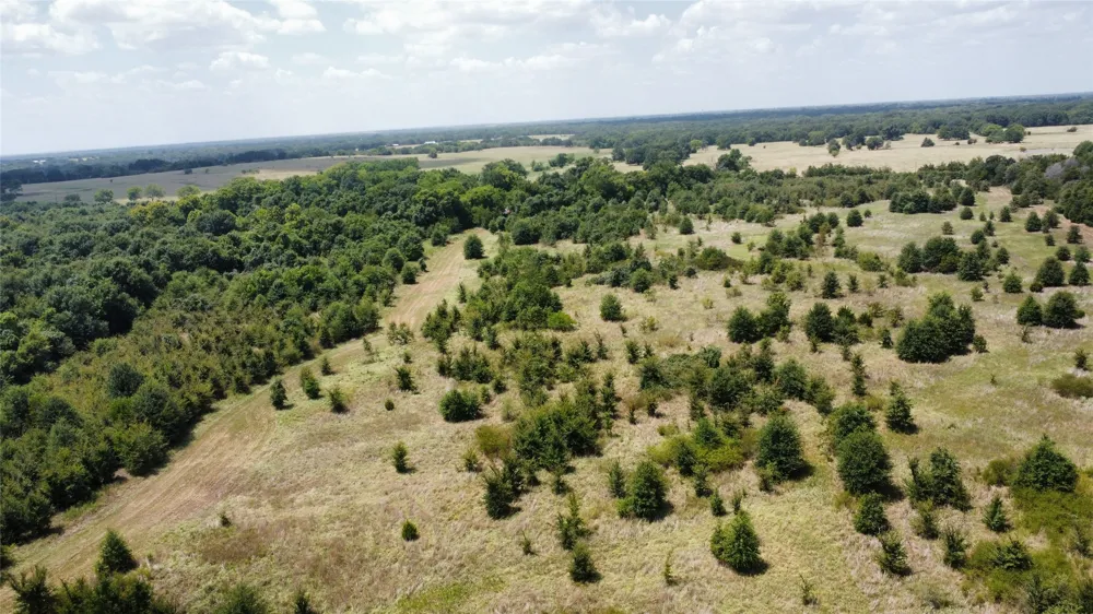 9574 County Road 314 Road Terrell, TX 75161