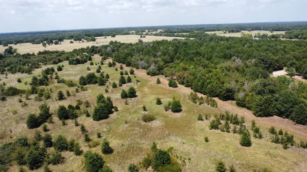 9574 County Road 314 Road Terrell, TX 75161