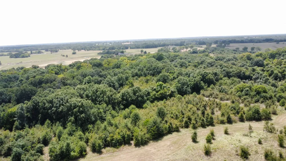 9574 County Road 314 Road Terrell, TX 75161