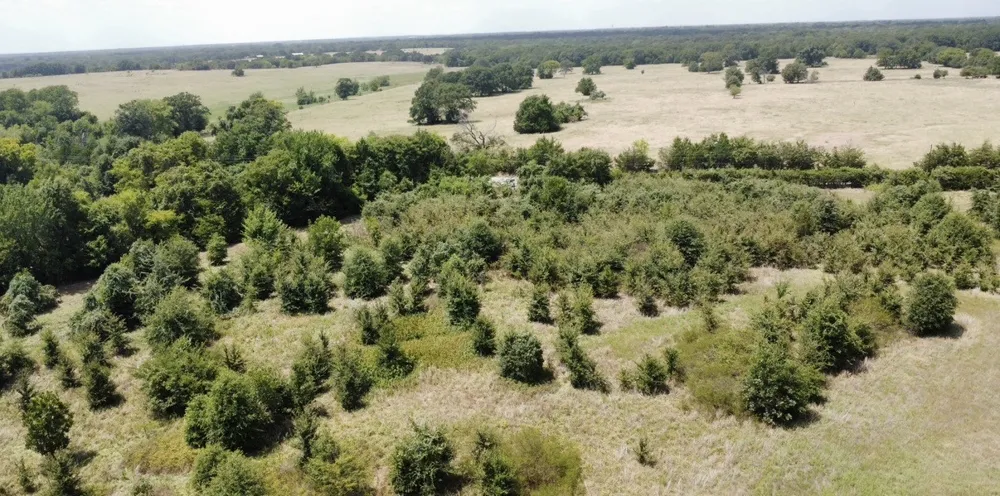 9574 County Road 314 Road Terrell, TX 75161