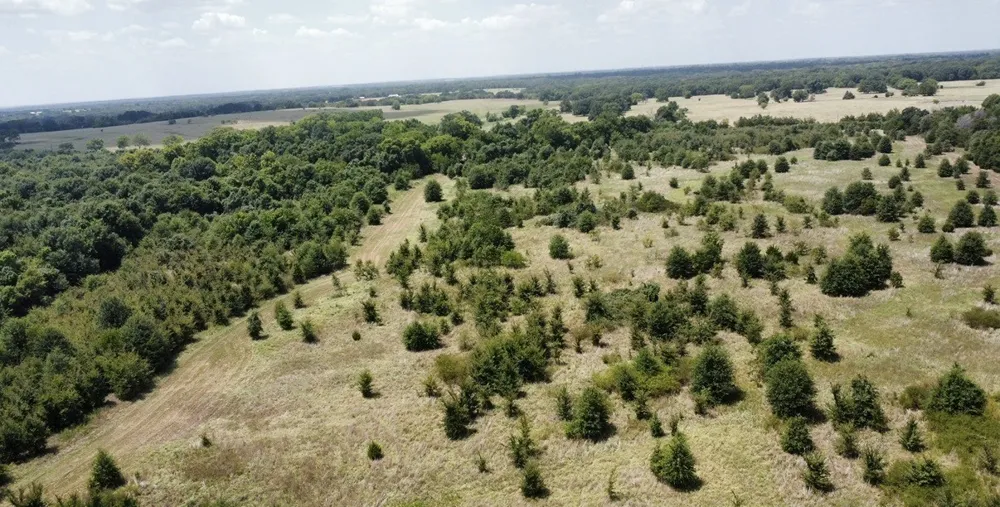 9574 County Road 314 Road Terrell, TX 75161