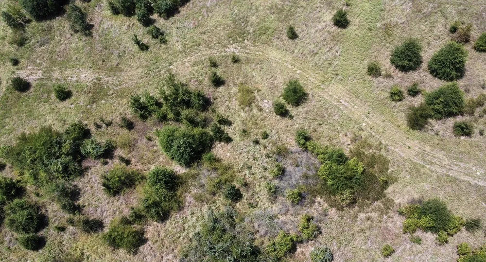 9574 County Road 314 Road Terrell, TX 75161