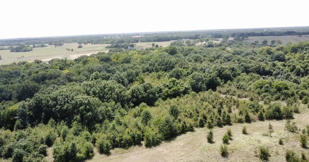 9574 County Road 314 Road Terrell, TX 75161