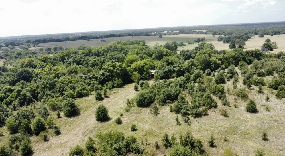 9574 County Road 314 Road Terrell, TX 75161