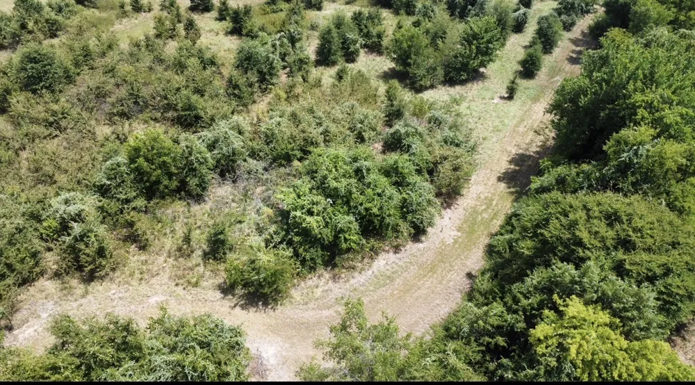 9574 County Road 314 Road Terrell, TX 75161