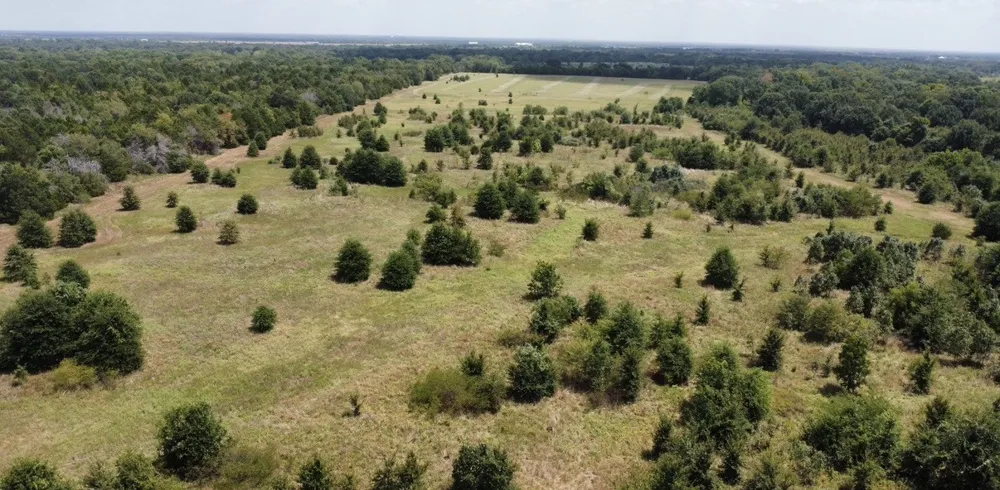 9574 County Road 314 Road Terrell, TX 75161