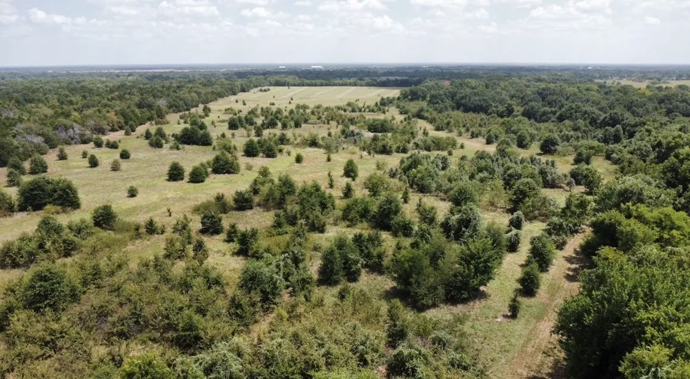 9574 County Road 314 Road Terrell, TX 75161