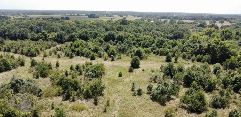 9574 County Road 314 Road Terrell, TX 75161