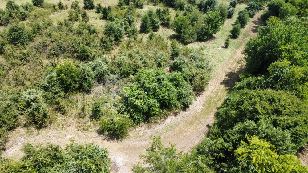 9574 County Road 314 Road Terrell, TX 75161