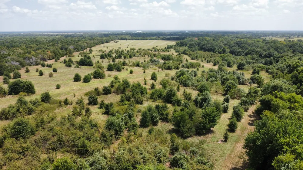 9574 County Road 314 Road Terrell, TX 75161