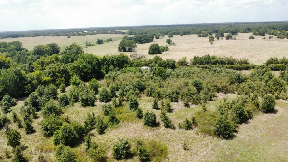 9574 County Road 314 Road Terrell, TX 75161