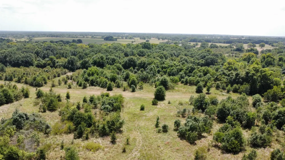 9574 County Road 314 Road Terrell, TX 75161