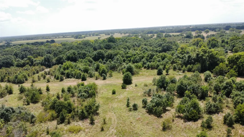 9574 County Road 314 Road Terrell, TX 75161
