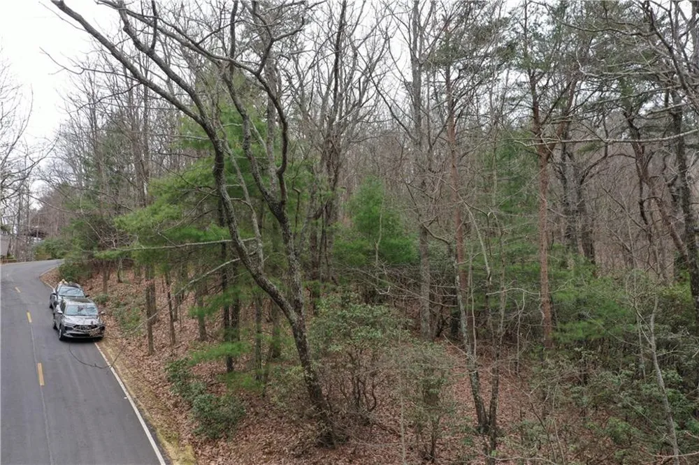 1183 Mcelroy Mountain Drive Big Canoe, GA 30143