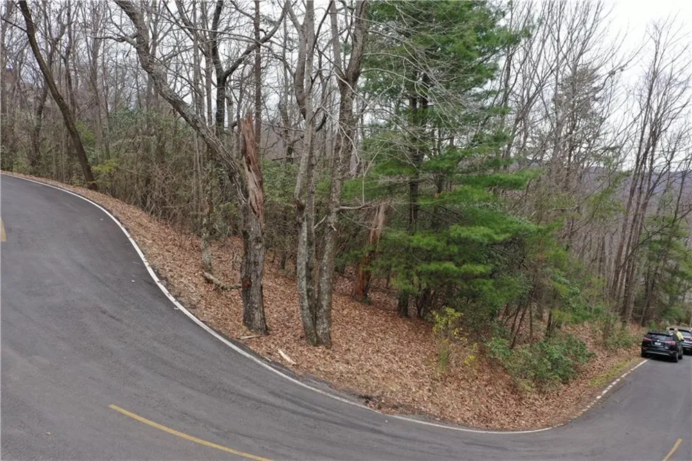 1183 Mcelroy Mountain Drive Big Canoe, GA 30143