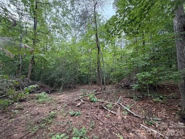 651 Bishs Way Lincolnton, NC 28092