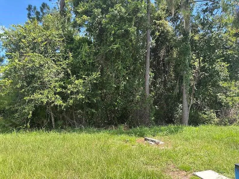 2463 PECOS LANE Poinciana, FL 34759
