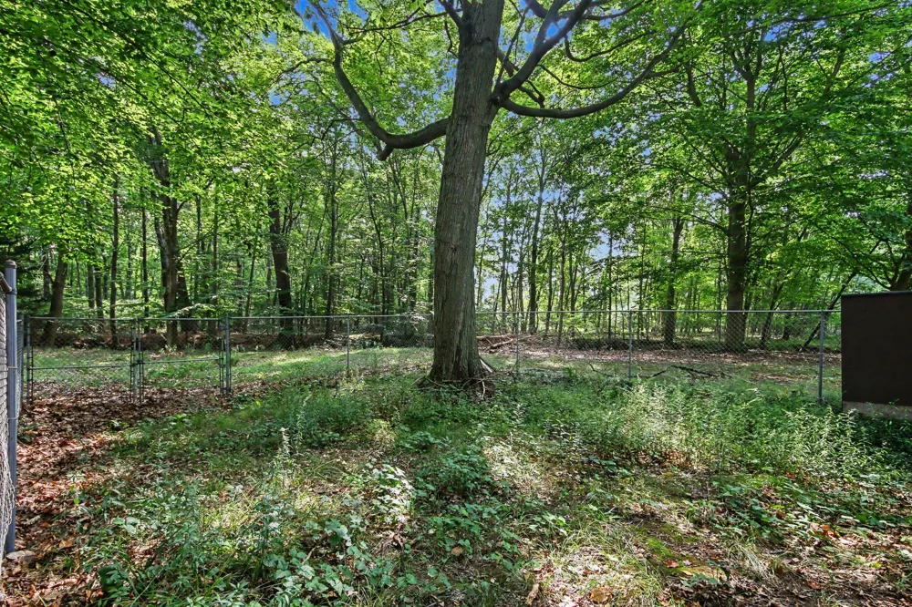 6700 Wildwood Drive West Olive, MI 49460