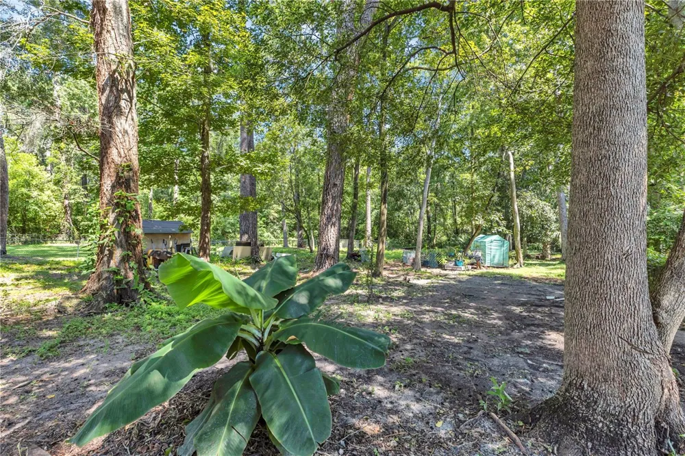 7903 LEMANS DRIVE Jacksonville, FL 32210