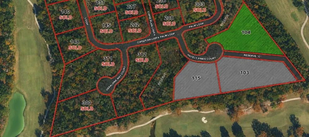 104 Chateau Pines Court Montgomery, TX 77316