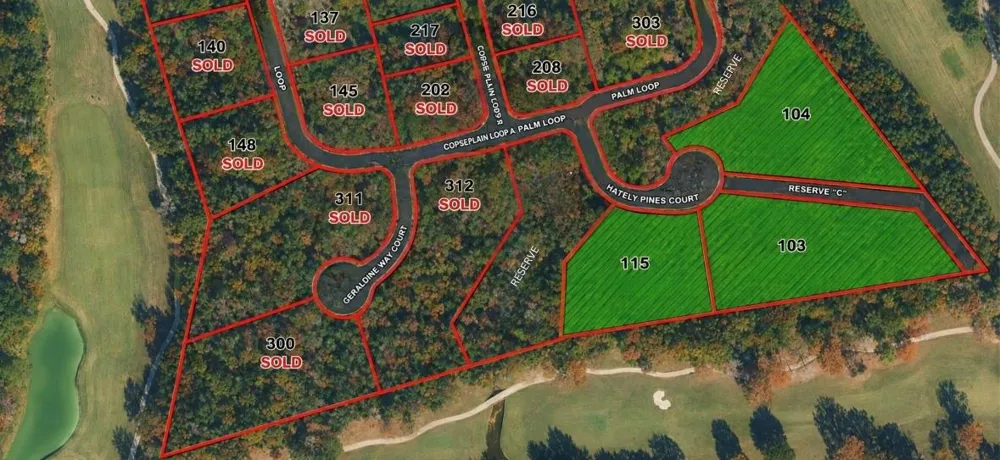 104 Chateau Pines Court Montgomery, TX 77316