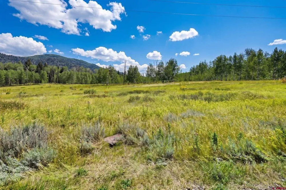 318 Sundown DR. Creede, CO 81130