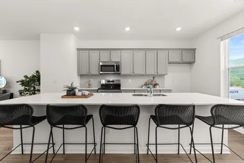 259 Asbury Oak Lane